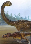Цератозавр (Ceratosaurus nasicornis)